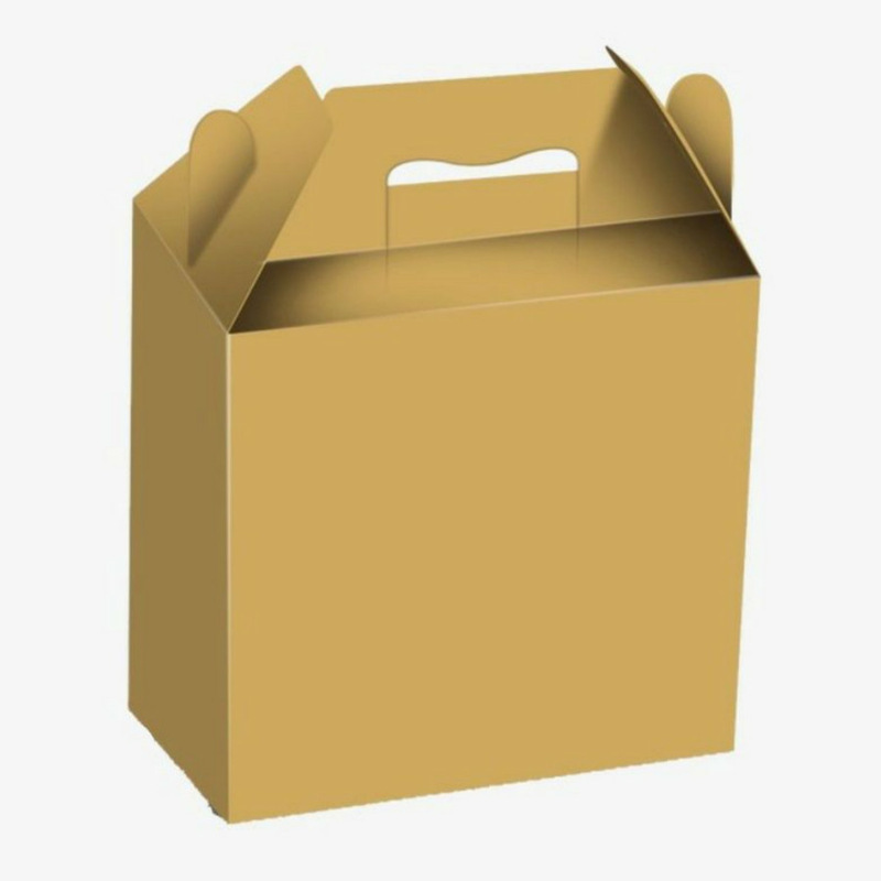 cajas de carton industrial leon gto